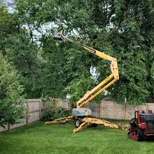 Best Lot and Land Clearing  in Athens, TX
