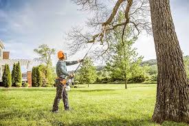 Best Lawn Pest Prevention  in Athens, TX