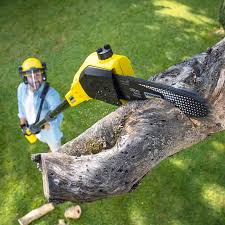 Best Tree Preservation Services  in Athens, TX